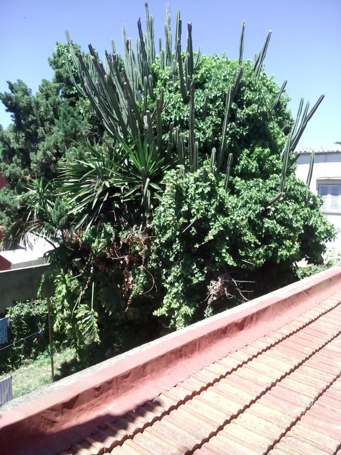Hosteria Almirante Brown Mar del Plata Luaran gambar